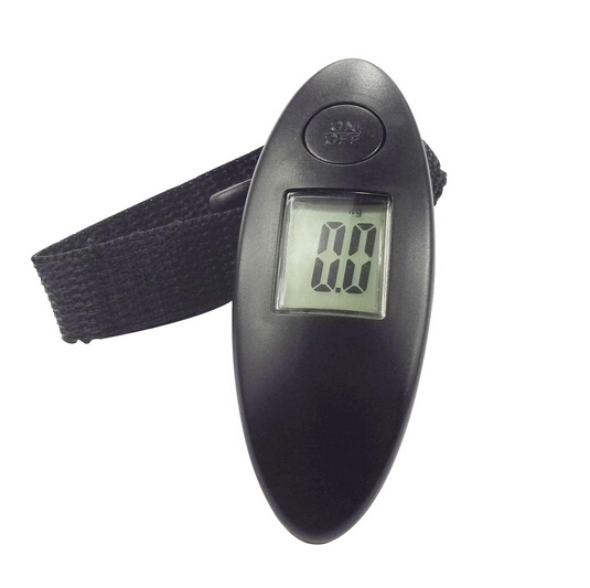 Hanging Weighing Scale